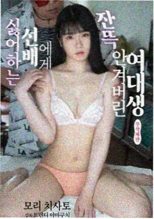 小镇书店的四季纪录片海报